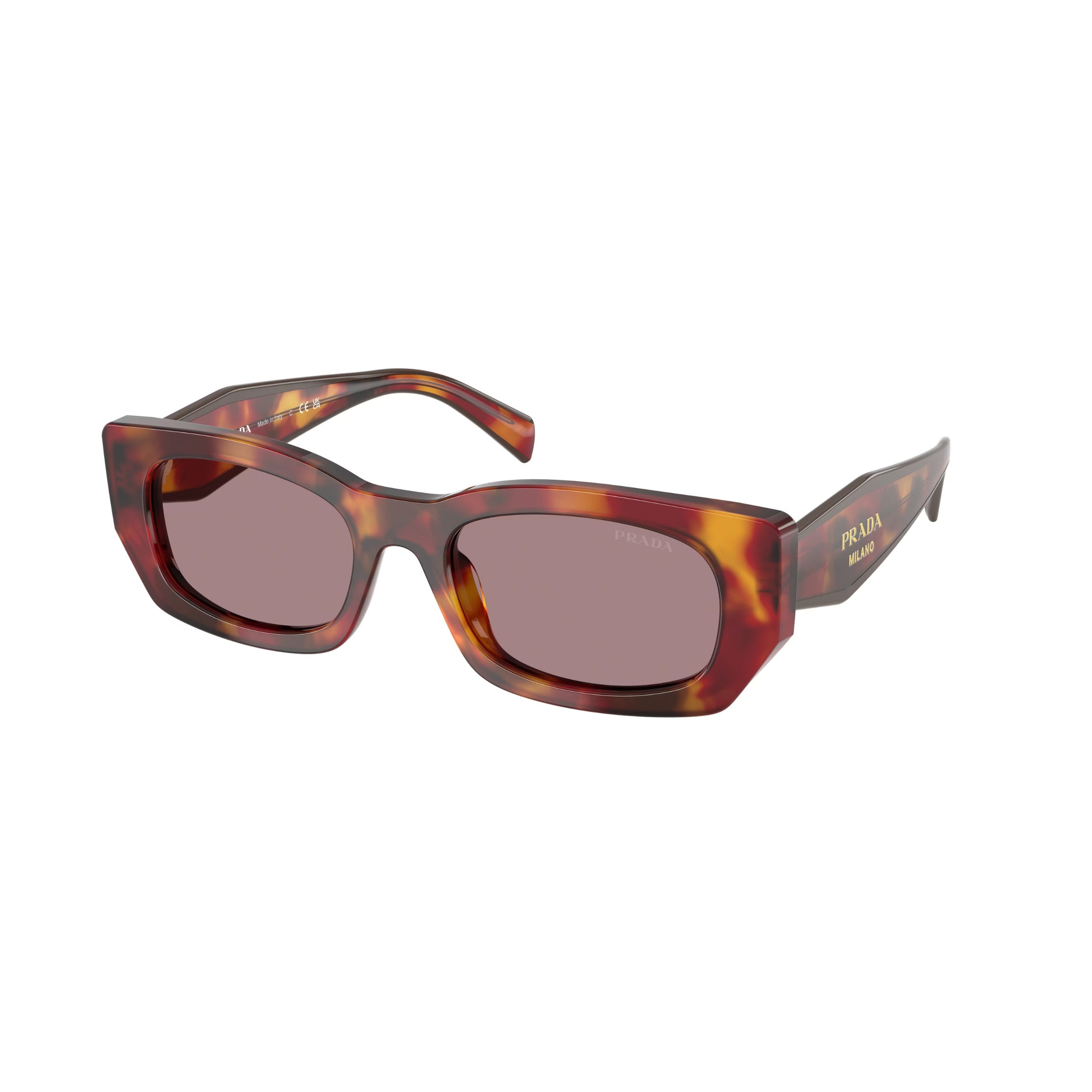 0PR B05S - Tortue