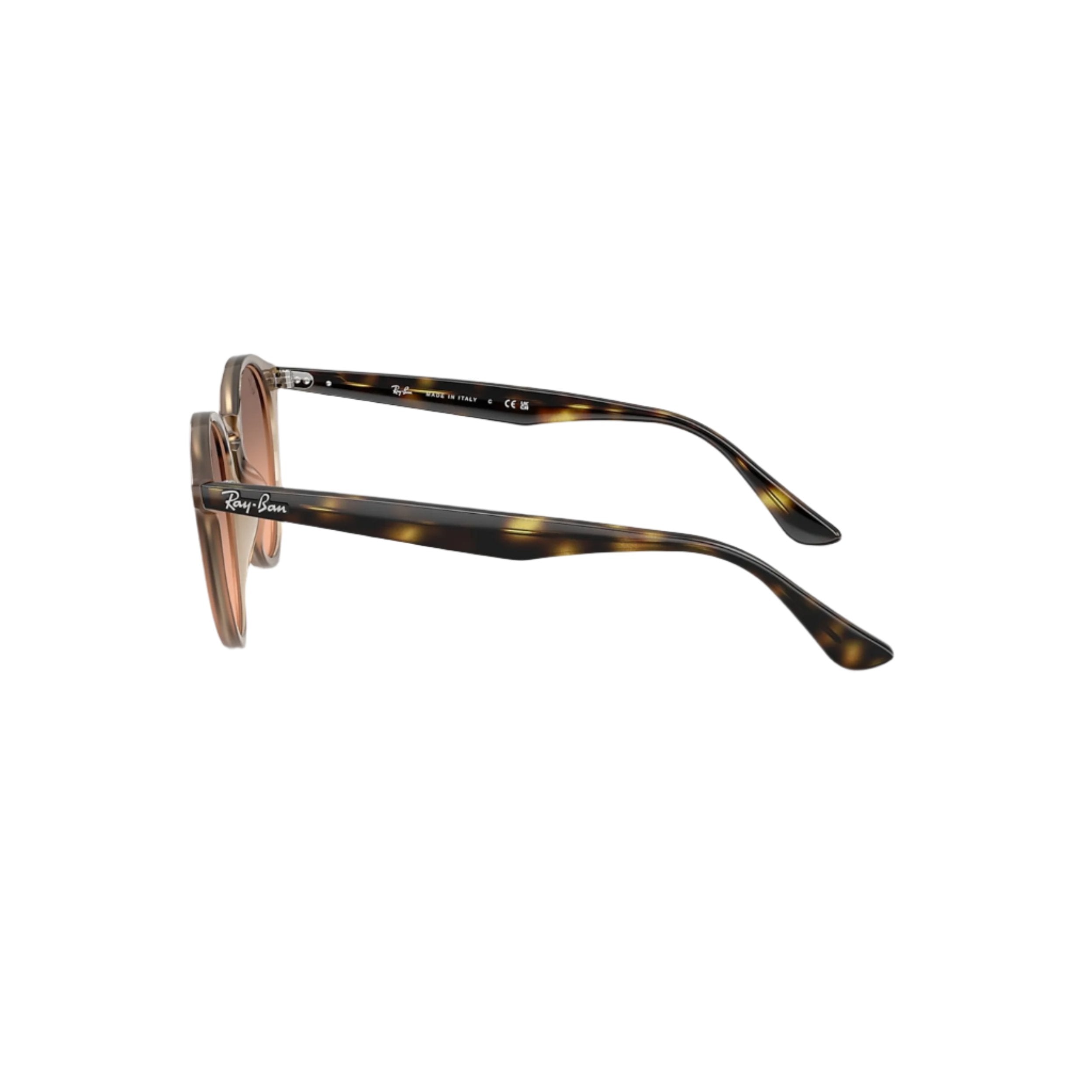 Tortledove RB2180 Sunglasses