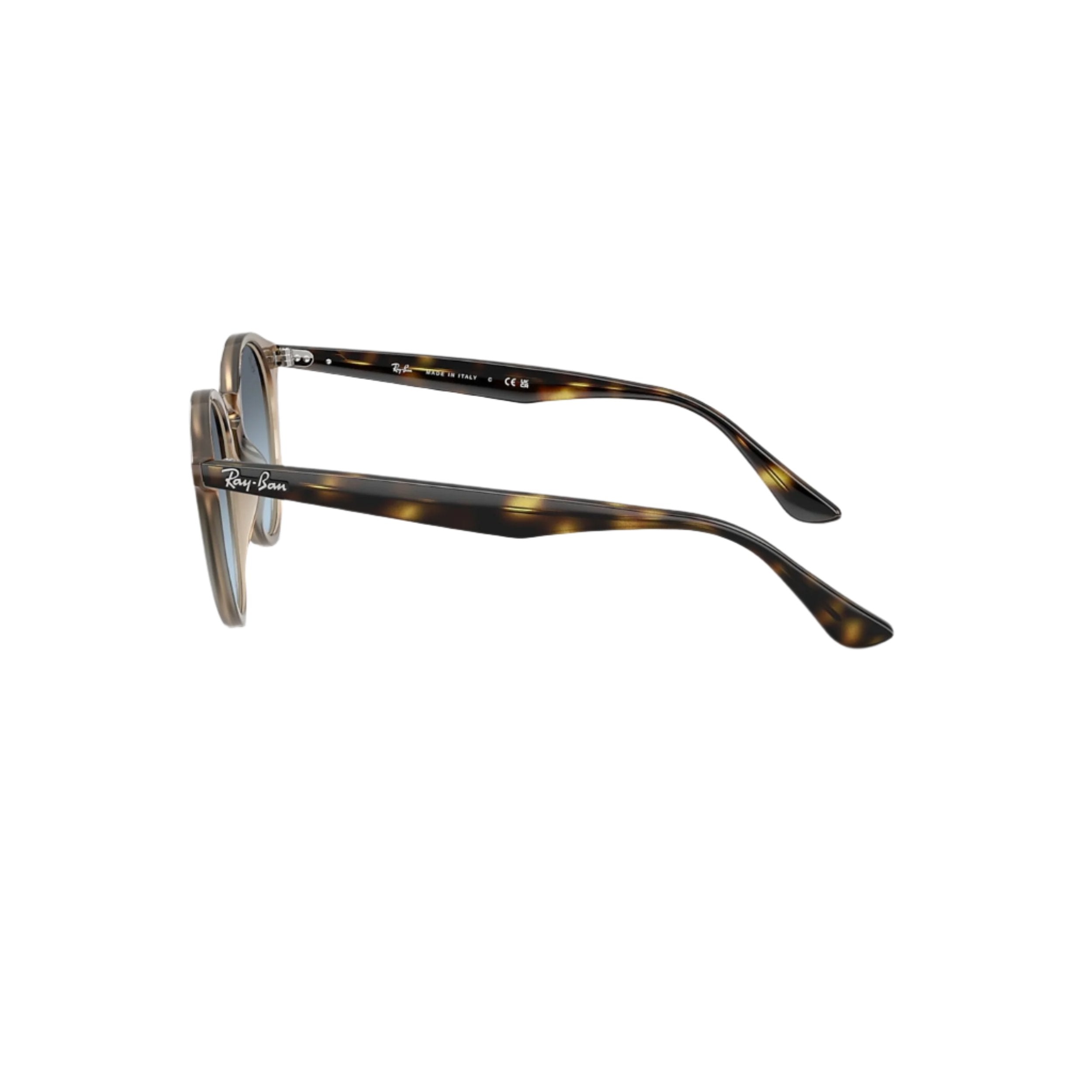 Tortledove RB2180 Sunglasses
