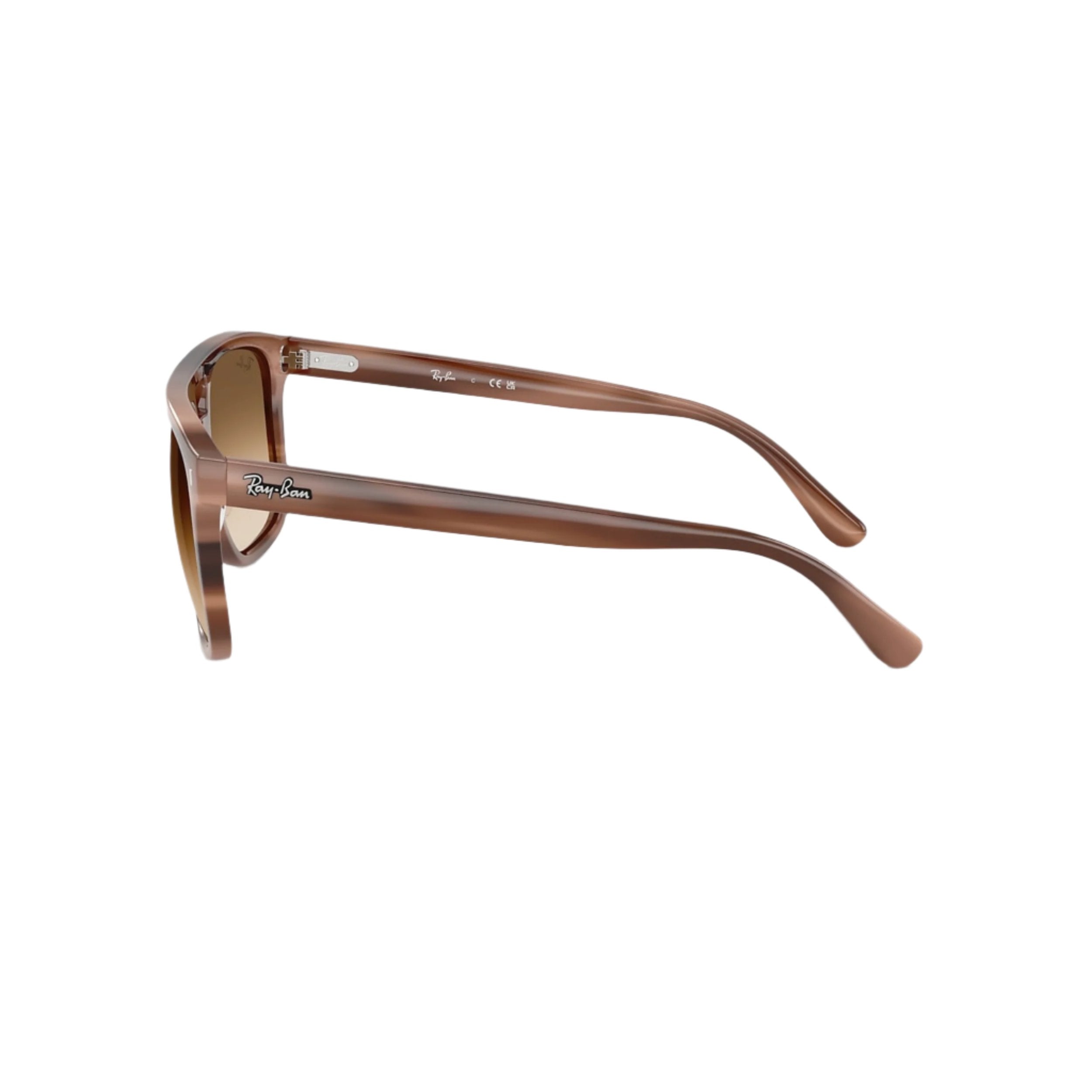 Havana Brown RB2213 Sunglasses
