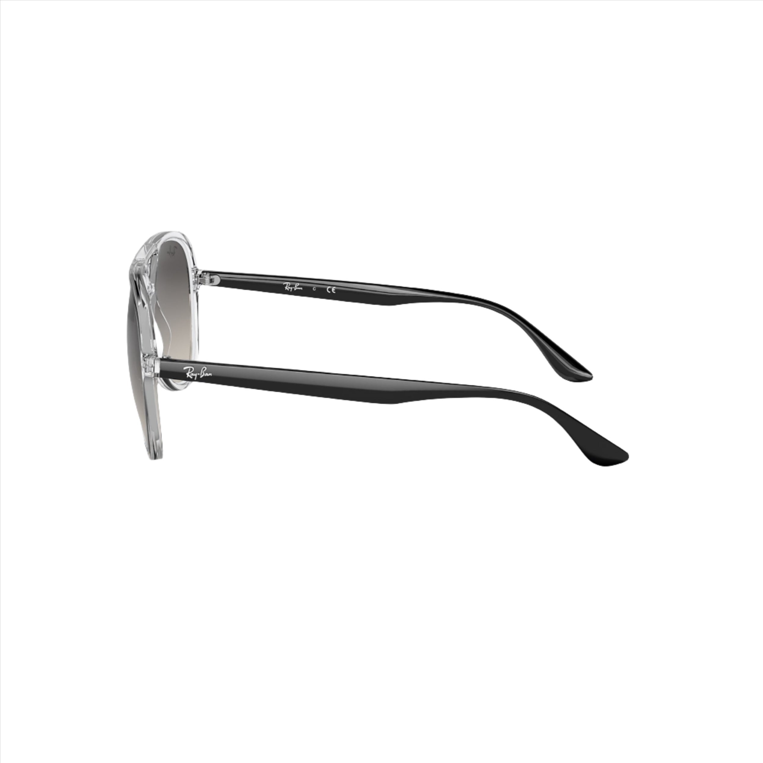 Transparant RB4376 Sunglasses