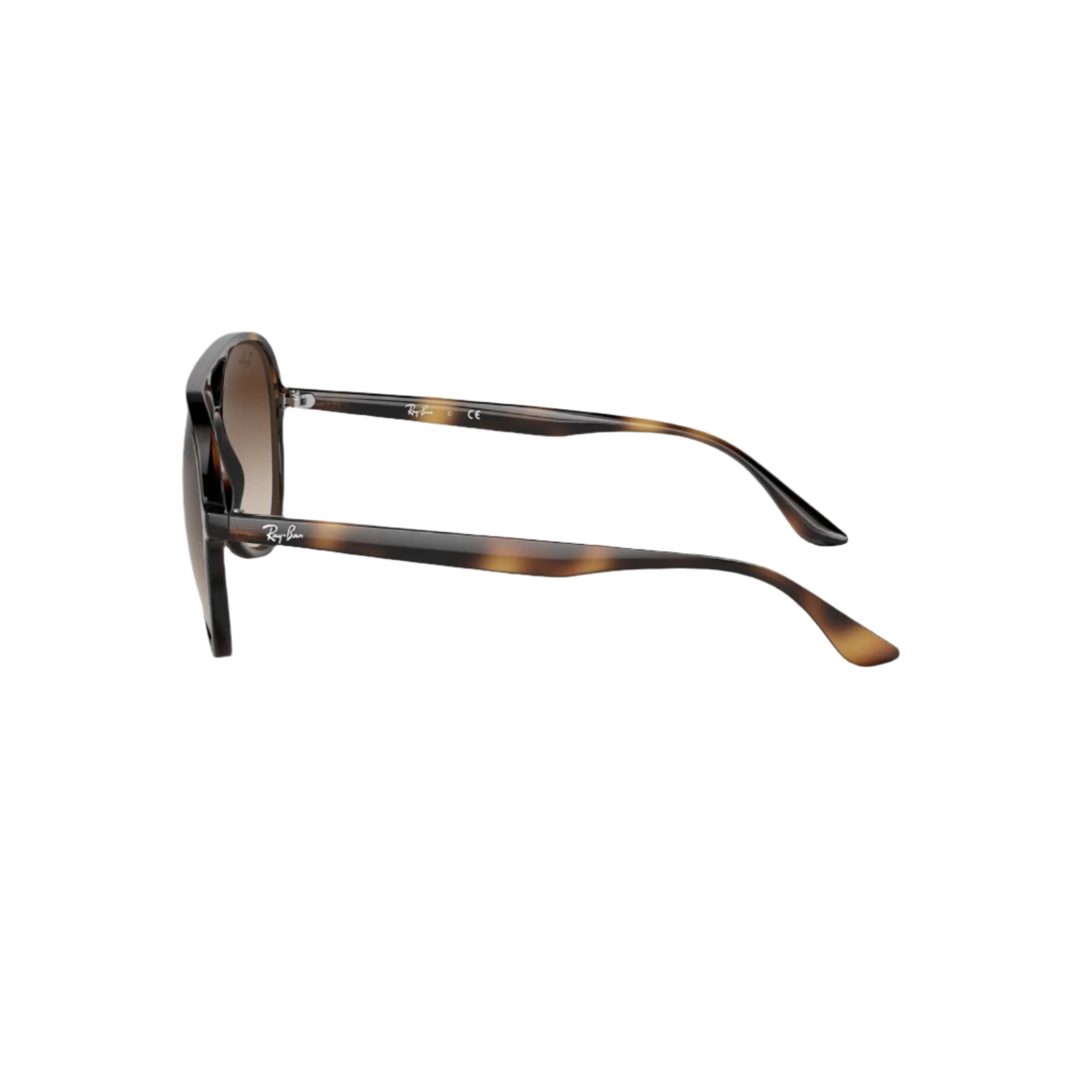 Lunettes de soleil Havana RB4376