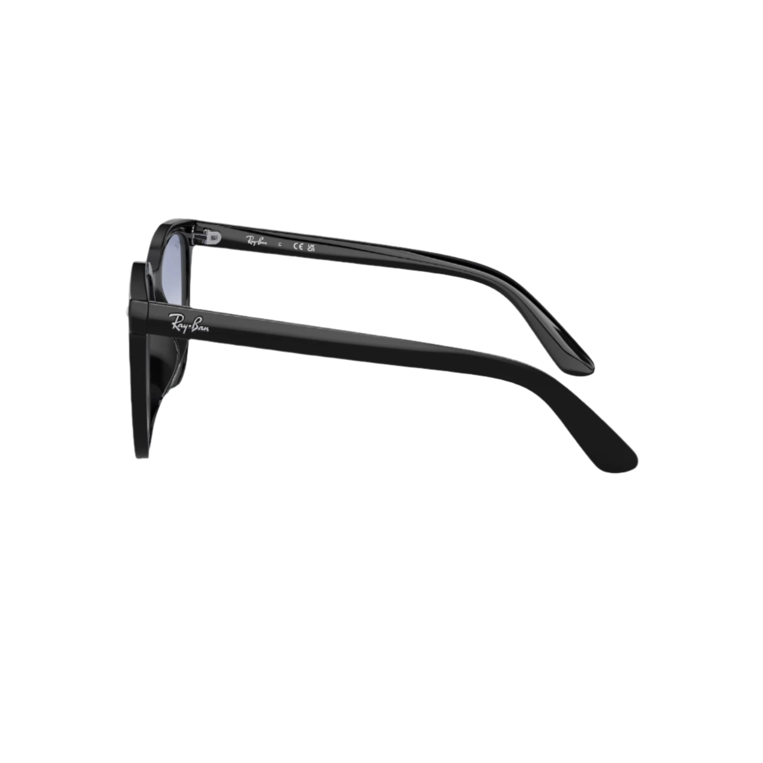 Black RB4401 Sunglasses