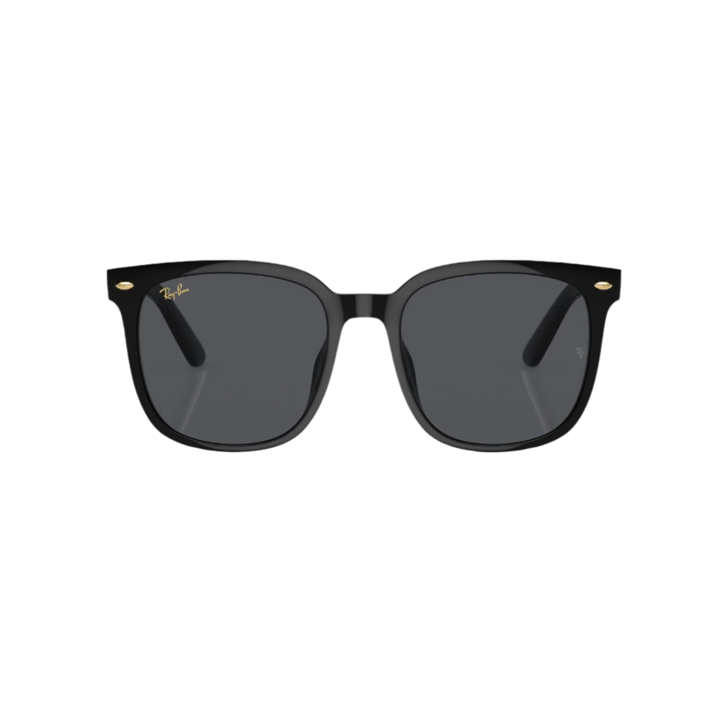Lunettes de soleil noires 0RB4401D
