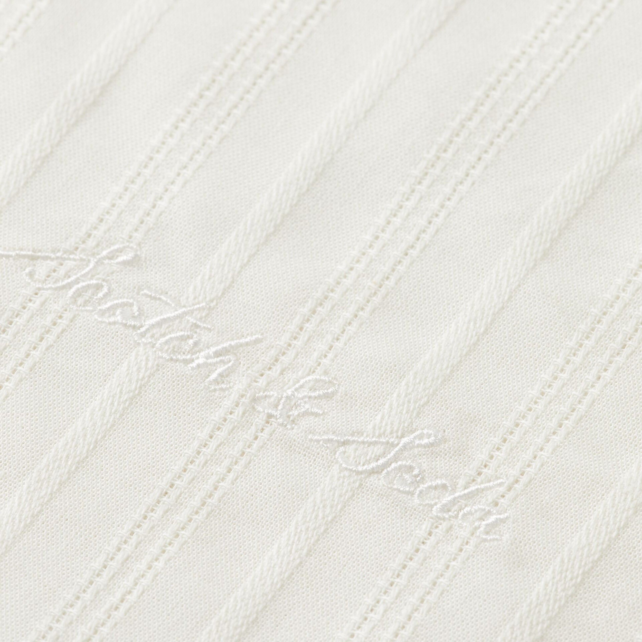 Swan Regular Fit Dobby Shirt