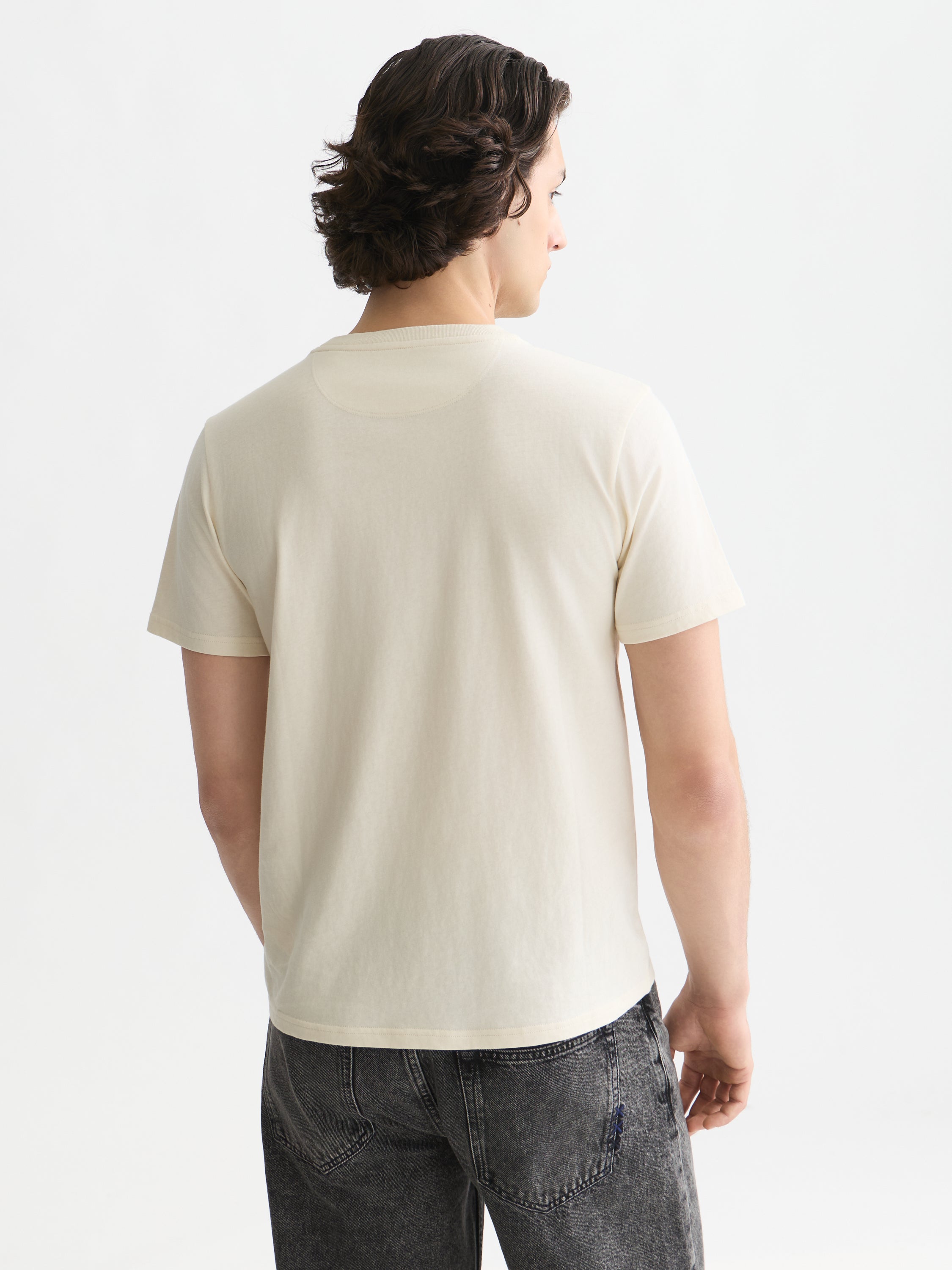 Seasonal Core Chest Logo Regular Fit T-Shirt - Eggnog