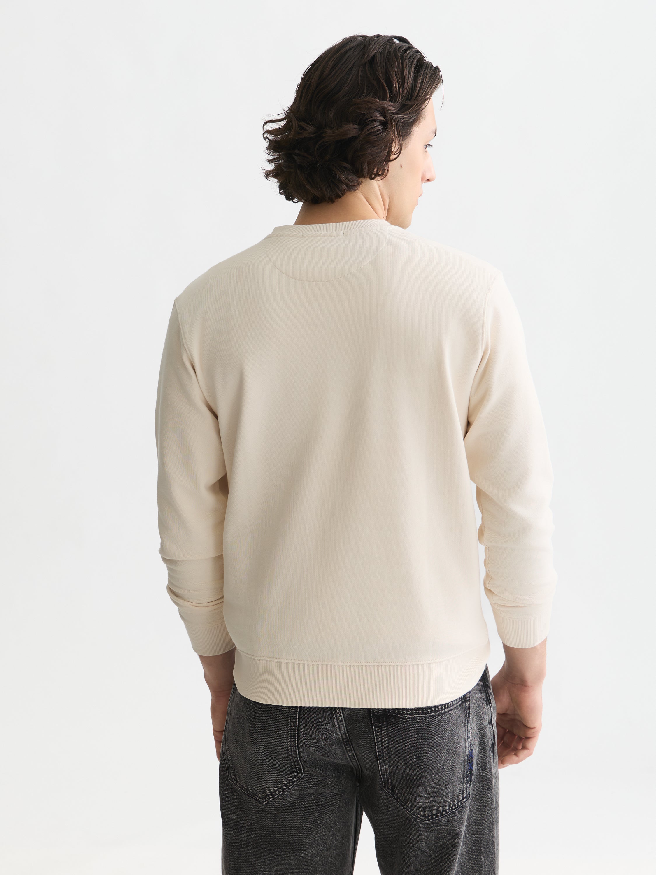Left Chest Artwork Regular Fit Sweatshirt - Eggnog