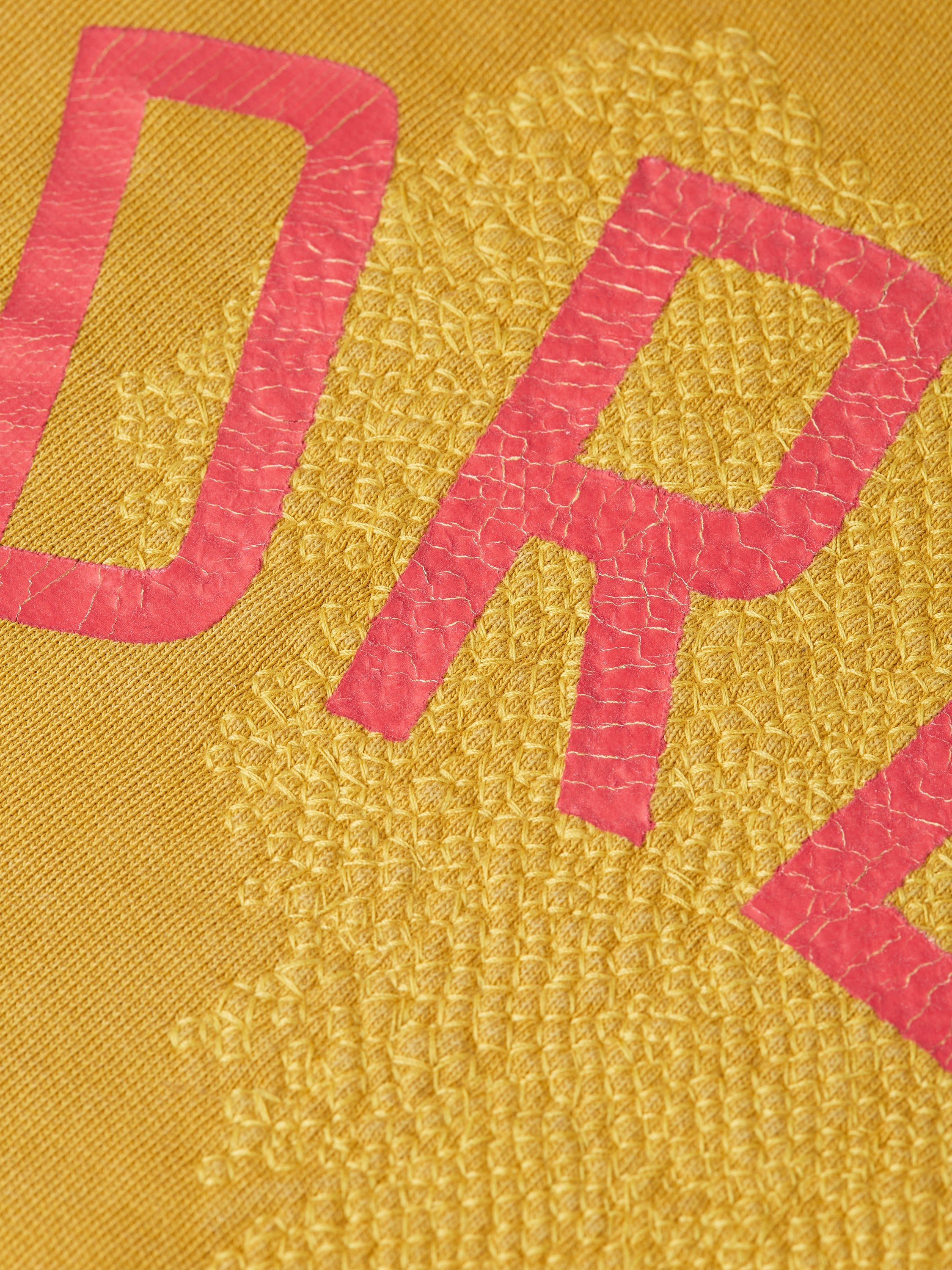 Front Artwork Washed Regular Fit Hoodie - Gold Flake