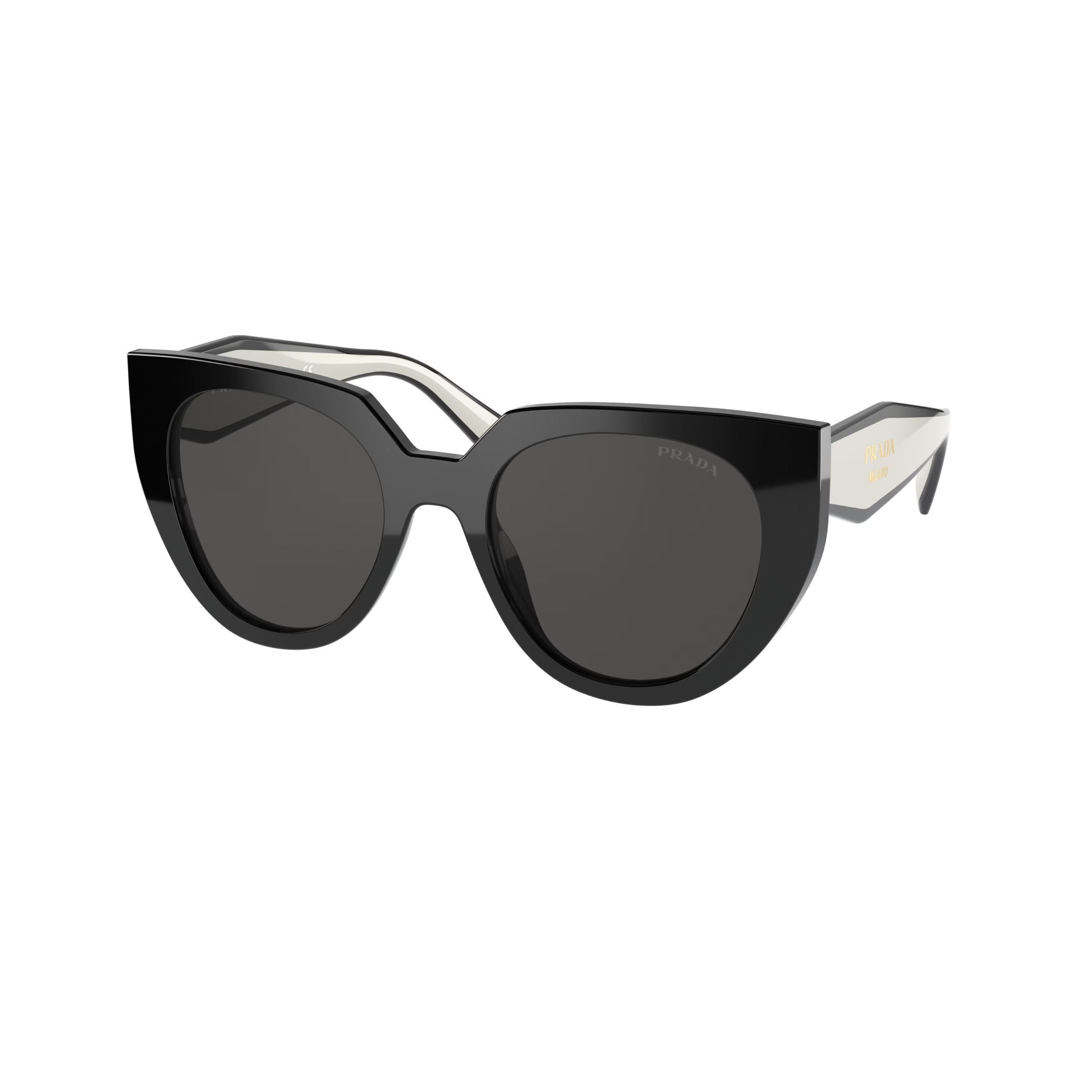 Black And Talc 0PR 14WS Sunglasses