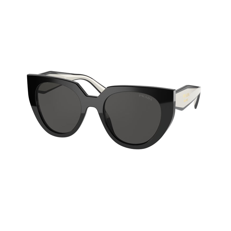 Black And Talc 0PR 14WS Sunglasses