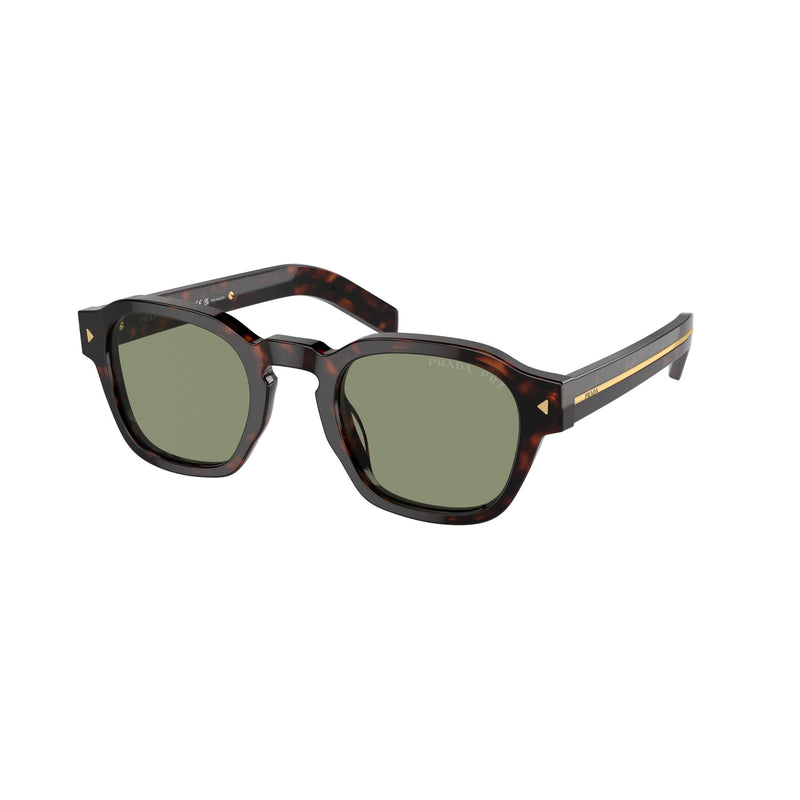 Radica Tortoise 0PR A16S Sunglasses