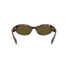 0PR 26ZS - Honey Tortoise