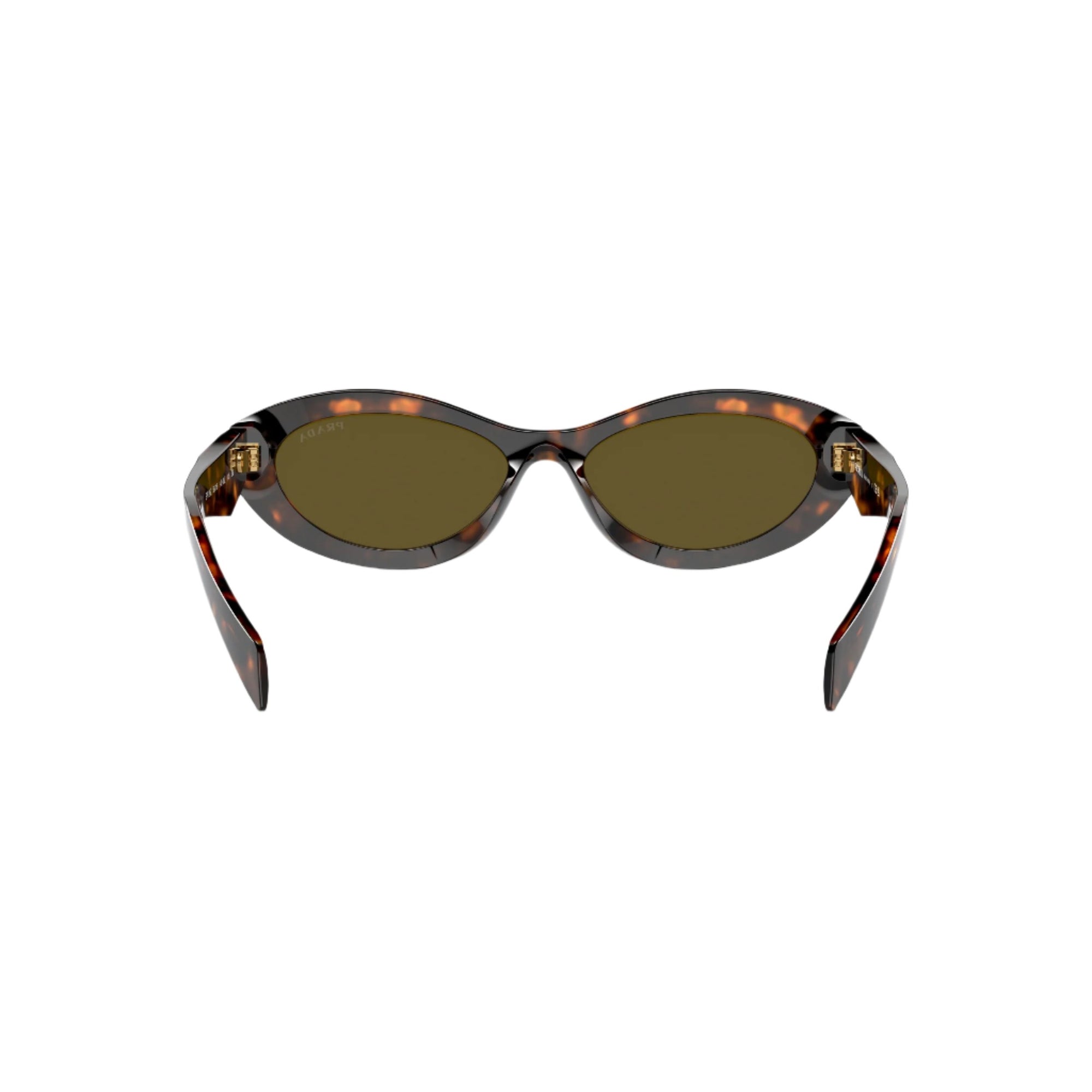 0PR 26ZS - Honey Tortoise