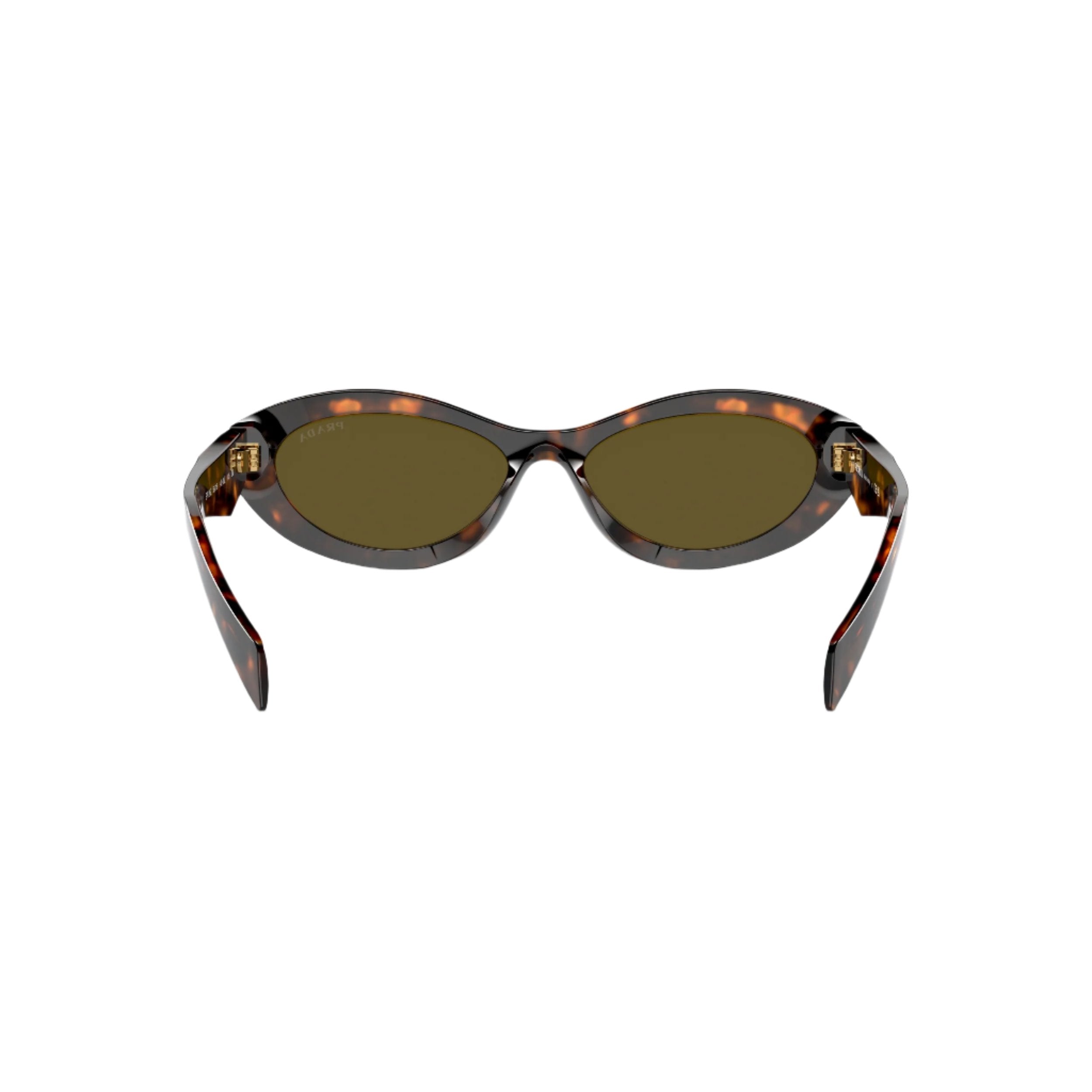 0PR 26ZS - Honey Tortoise
