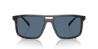 0PR A22S - Radica Tortoise