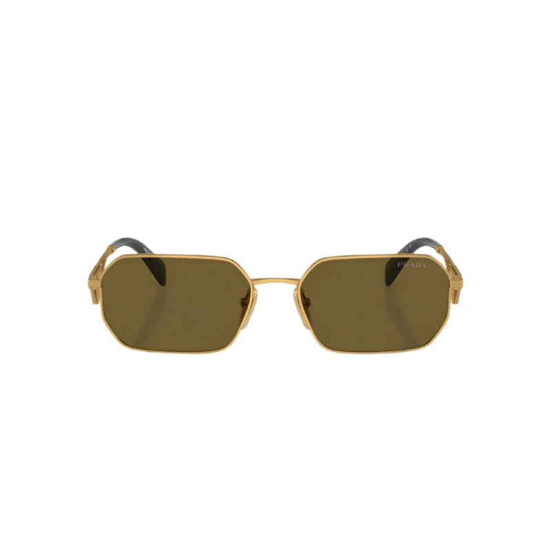 Matte Gold 0PR A51S Sunglasses