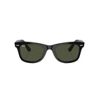 Black Wayfarer Sunglasses