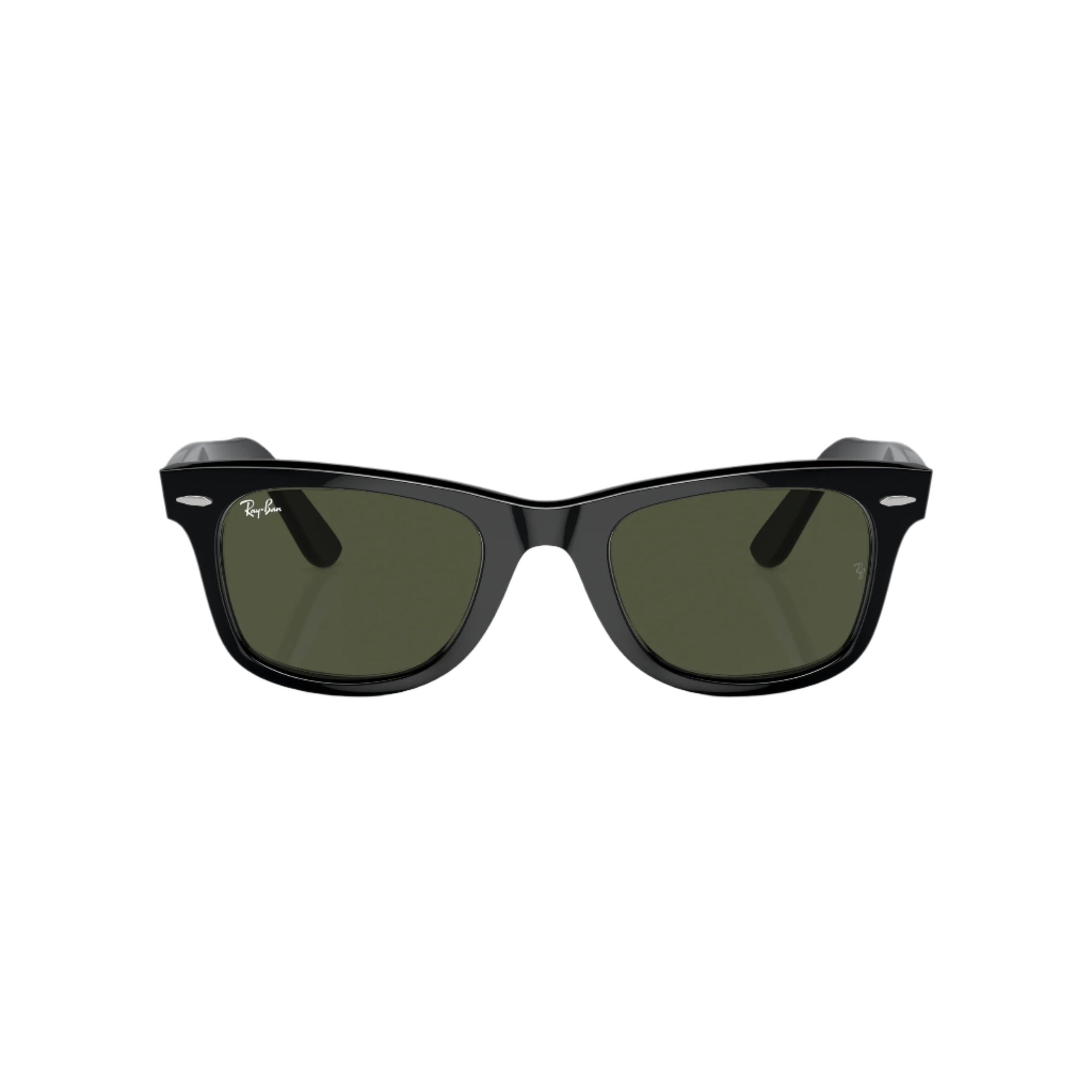 Black Wayfarer Sunglasses