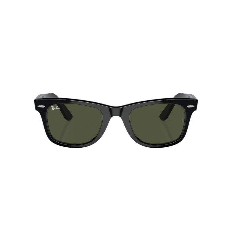 Black Wayfarer Sunglasses