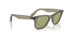 Wayfarer - Transparent Green