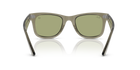 Wayfarer - Transparent Green