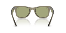 Wayfarer - Transparent Green