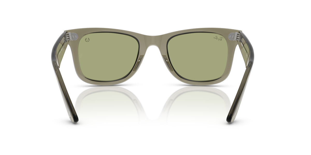 Wayfarer - Transparent Green-5
