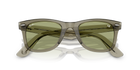 Wayfarer - Transparent Green