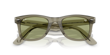 Wayfarer - Transparent Green