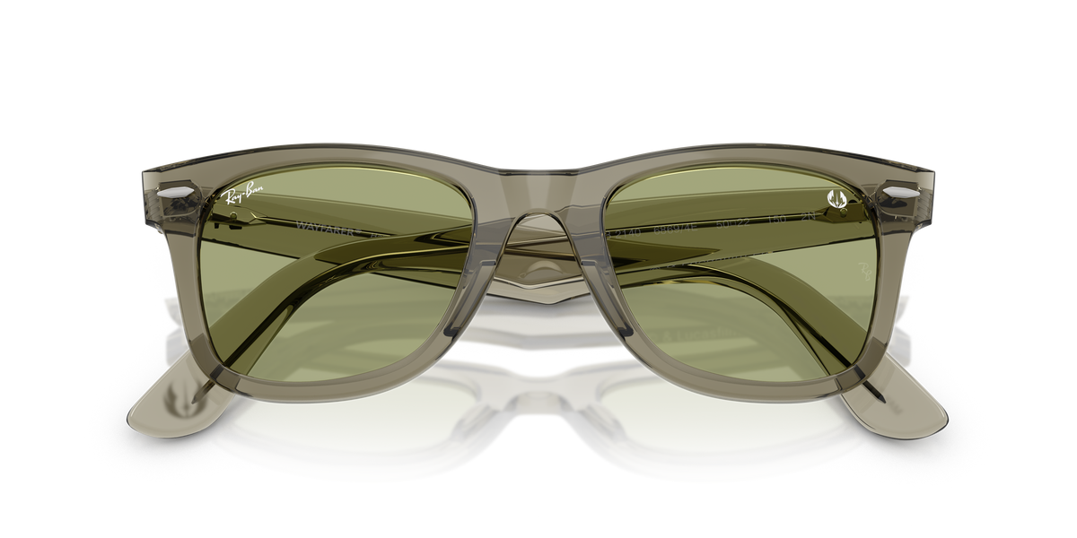 Wayfarer - Transparent Green-4