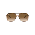 Bill - Havana On Transparent Brown