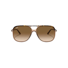Bill - Havana On Transparent Brown