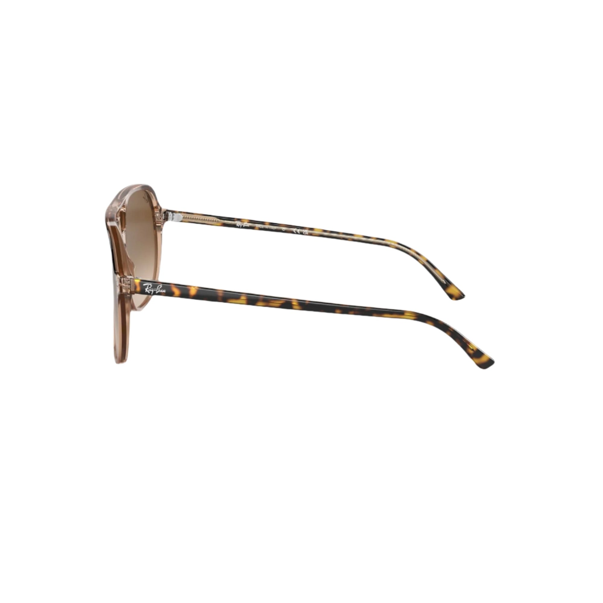 Bill - Havana On Transparent Brown