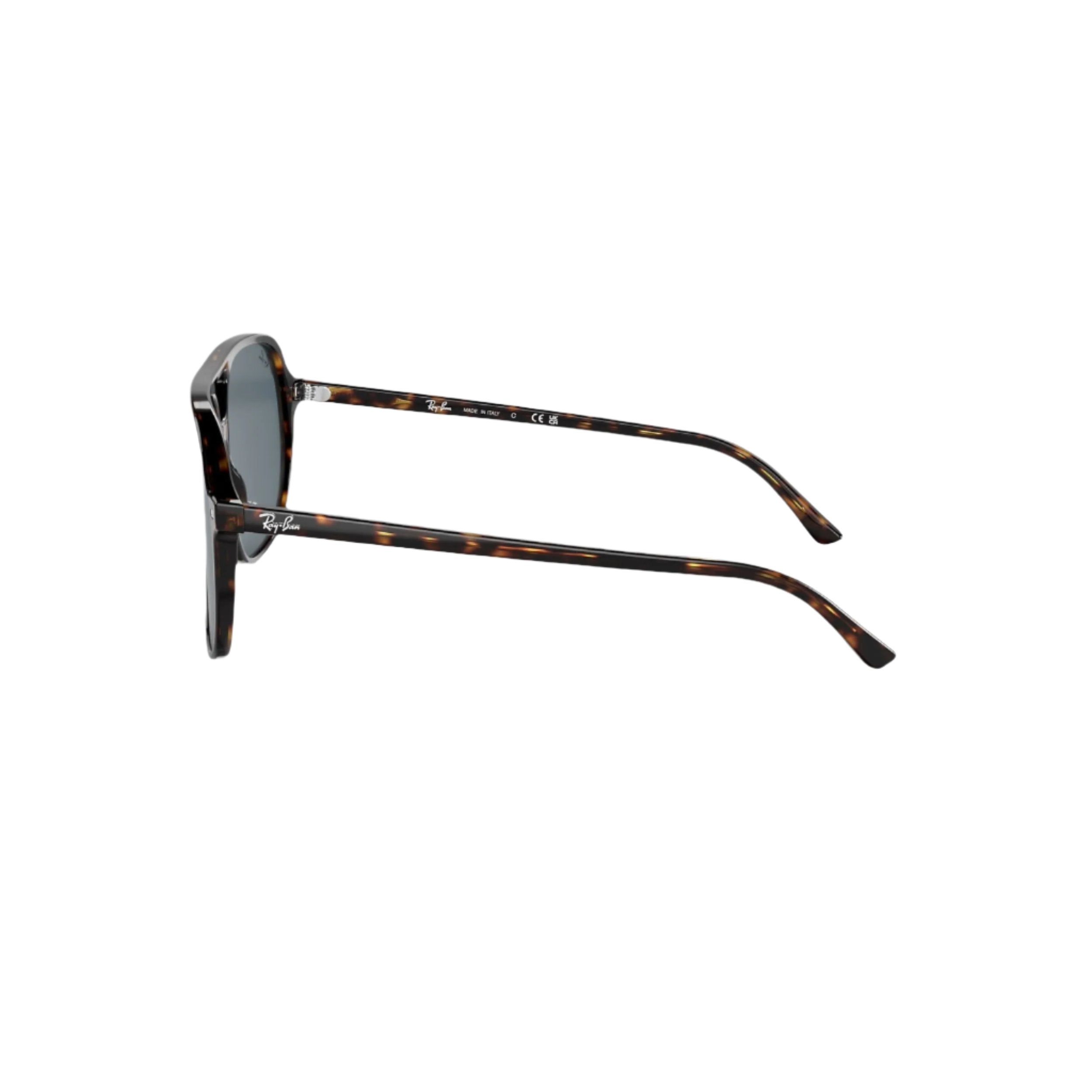 Havana Bill Sunglasses