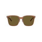 0RB2206D - Transparent Brown
