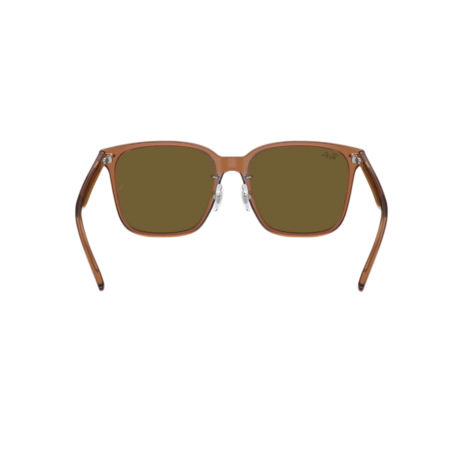 0RB2206D - Transparent Brown