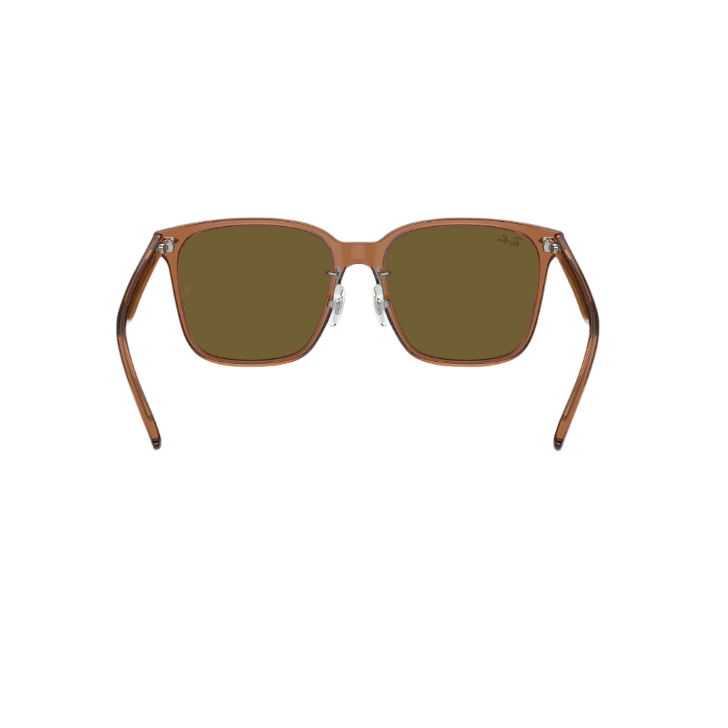 0RB2206D - Transparent Brown