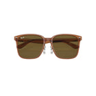 0RB2206D - Transparent Brown
