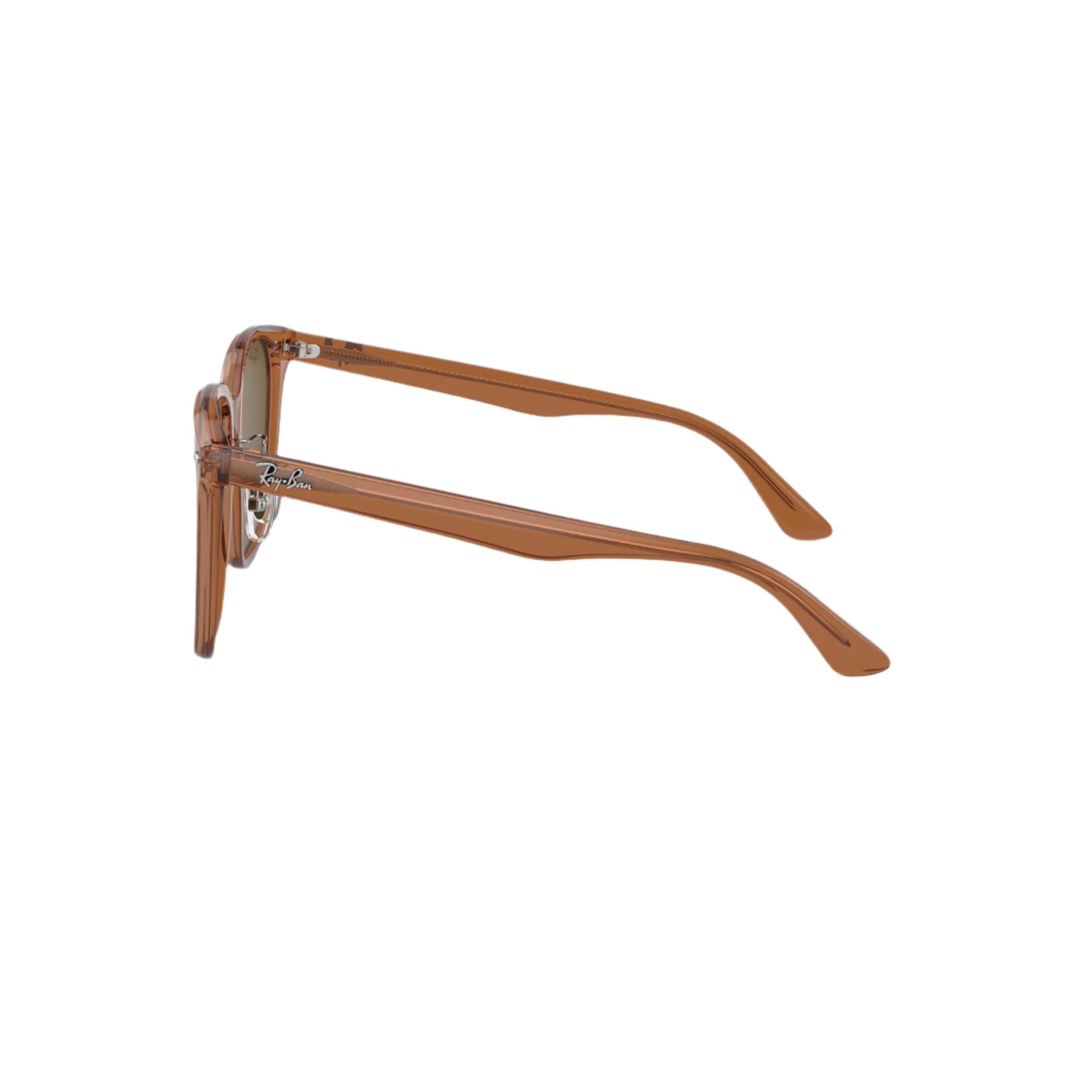 0RB2206D - Transparent Brown