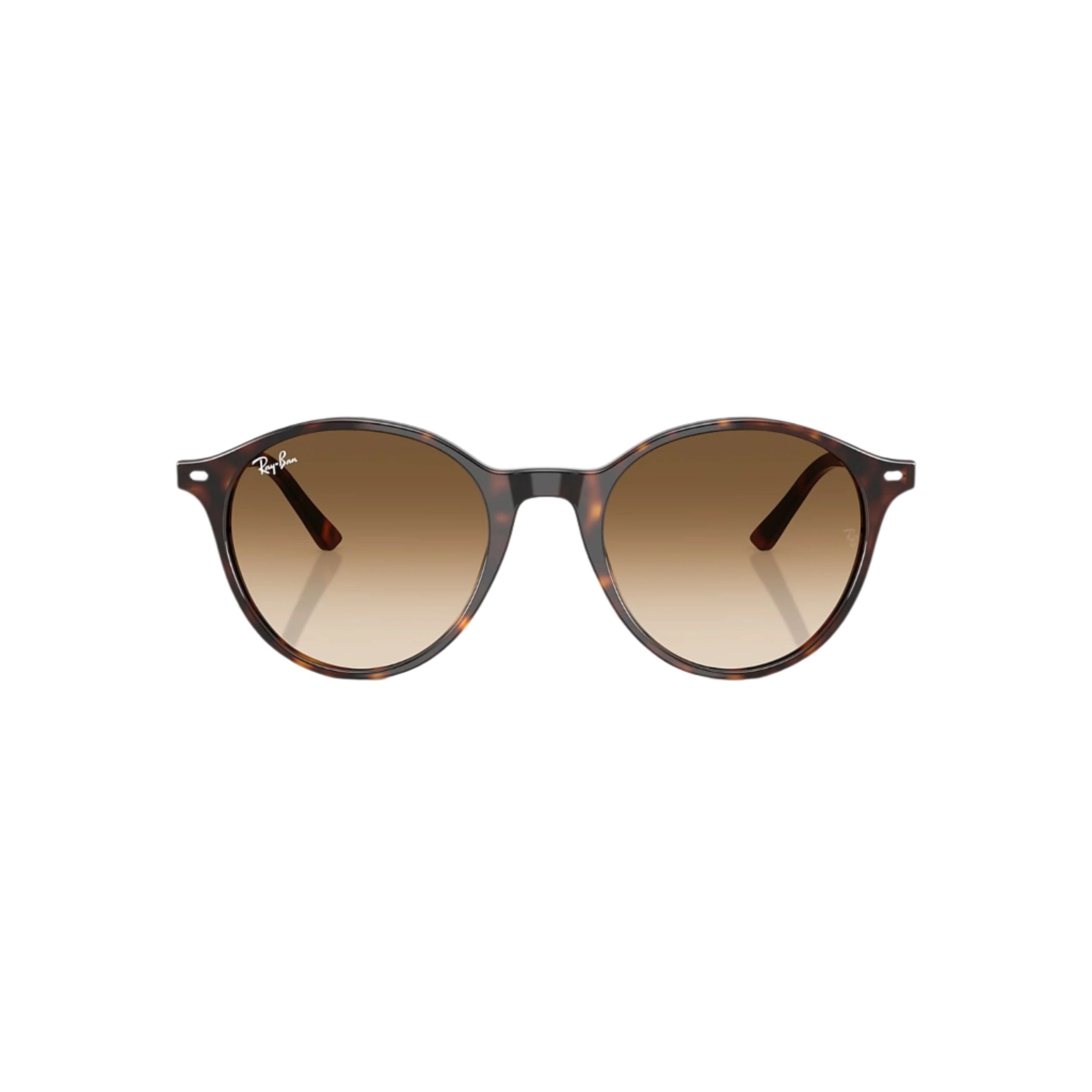 Havana Bernard Sunglasses