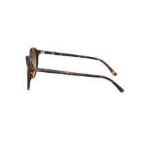 Havana Bernard Sunglasses