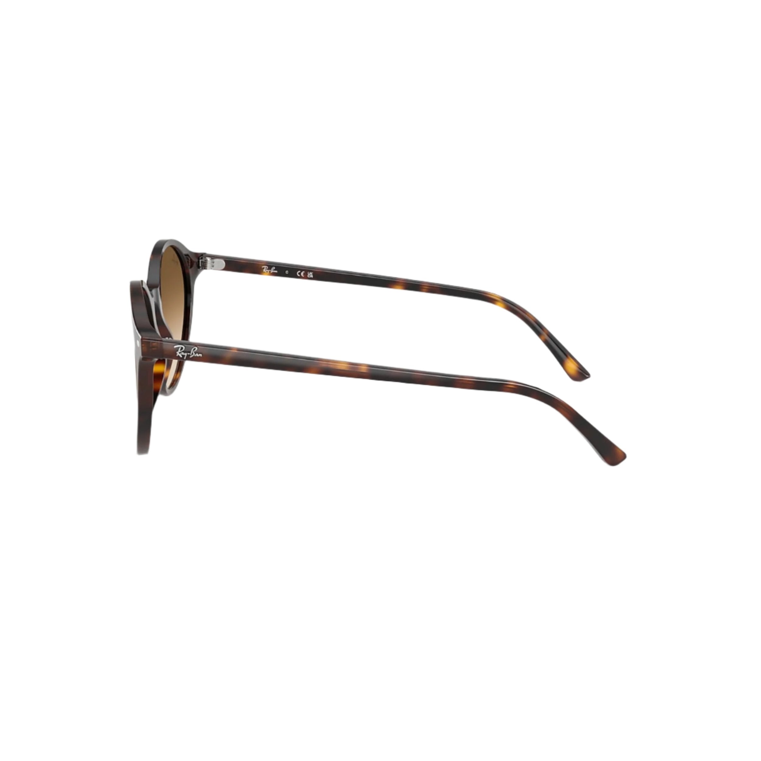 Havana Bernard Sunglasses