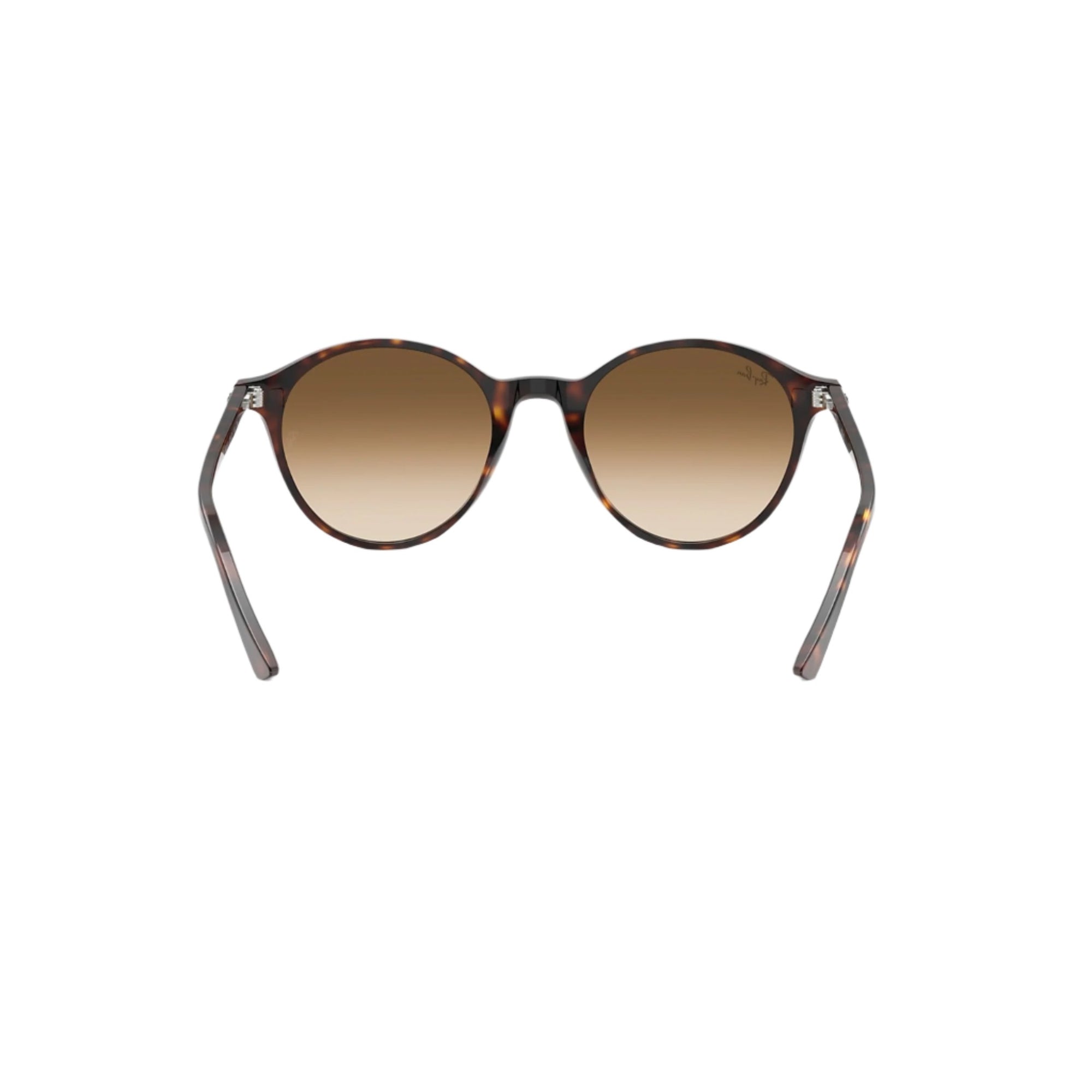 Havana Bernard Sunglasses