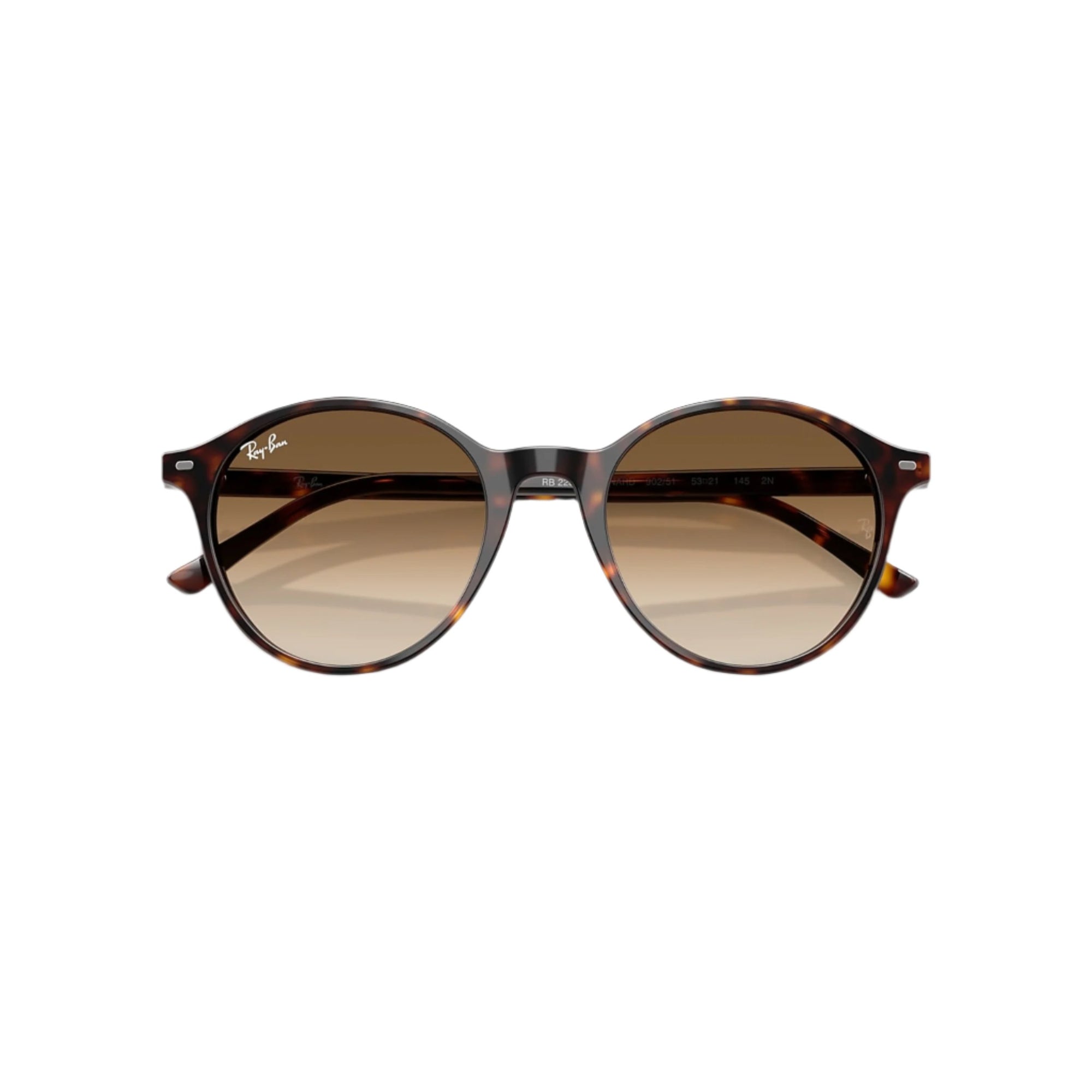 Havana Bernard Sunglasses