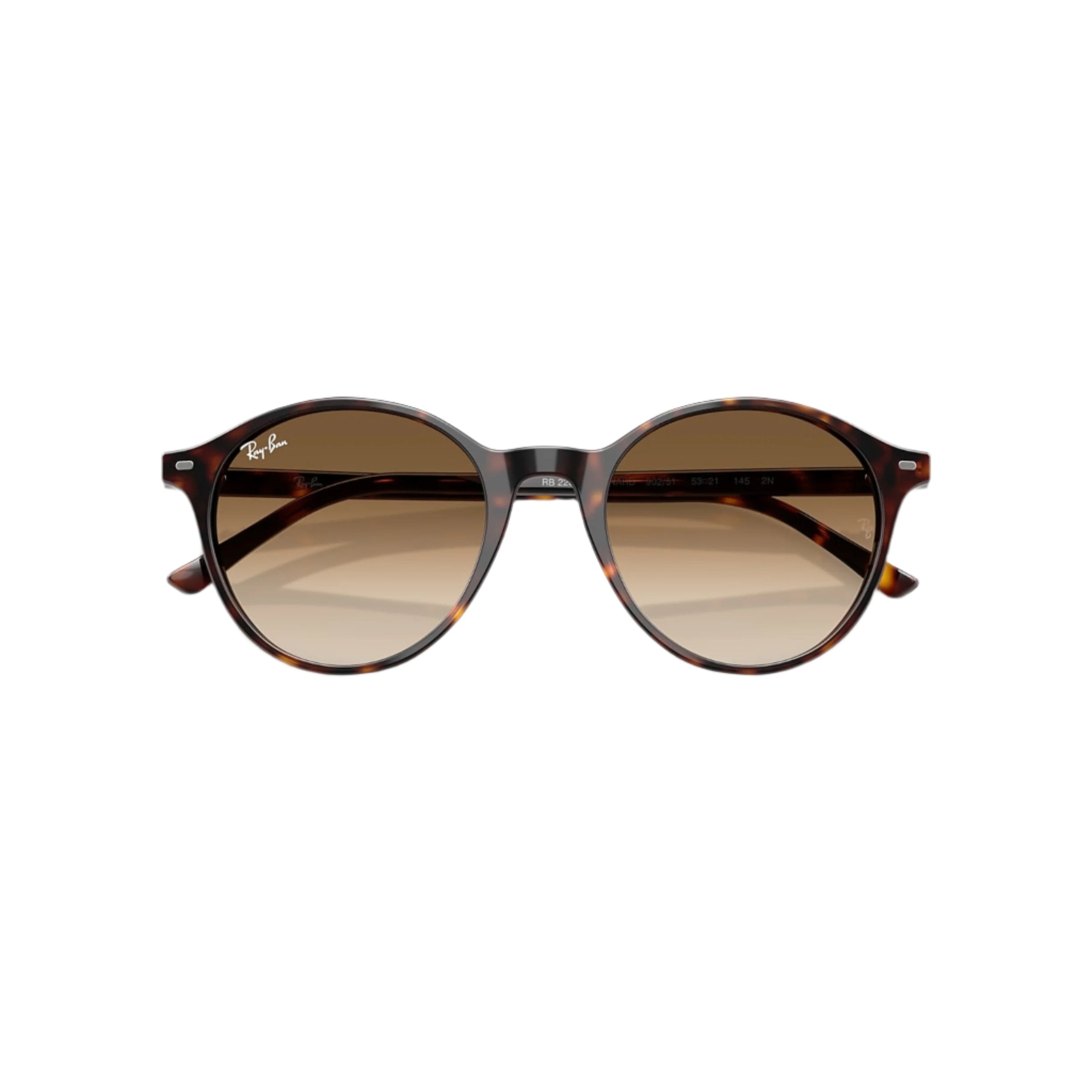 Havana Bernard Sunglasses