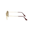 Arista Hexagonal Sunglasses