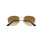 Arista Hexagonal Sunglasses