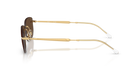 RB3768 - Arista