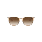 Erika - Transparent Brown