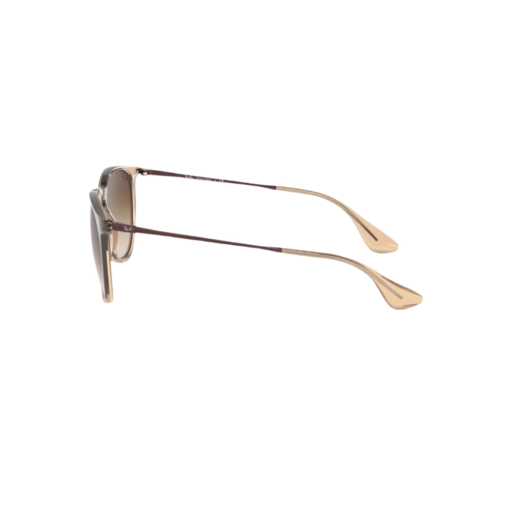 Erika - Transparent Brown